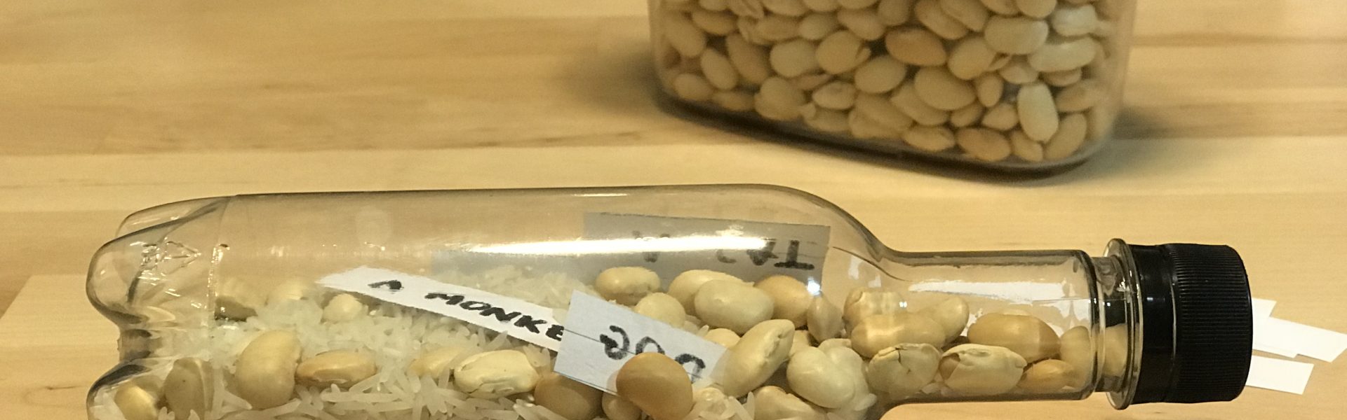 wiadomość w butelce zabawa sensoryczna do nauki angielskiego
