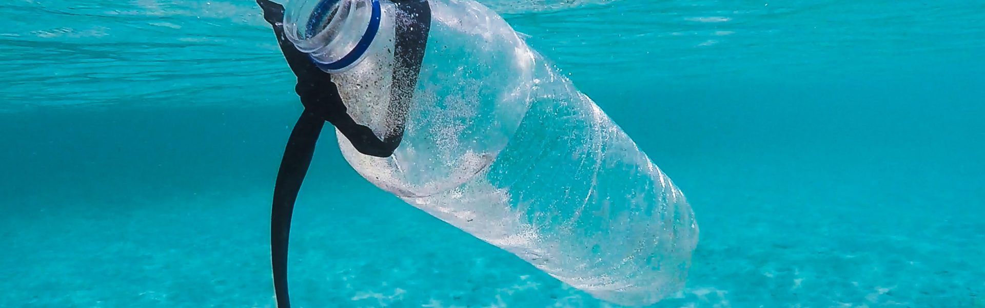 dzień bez opakowań foliowych