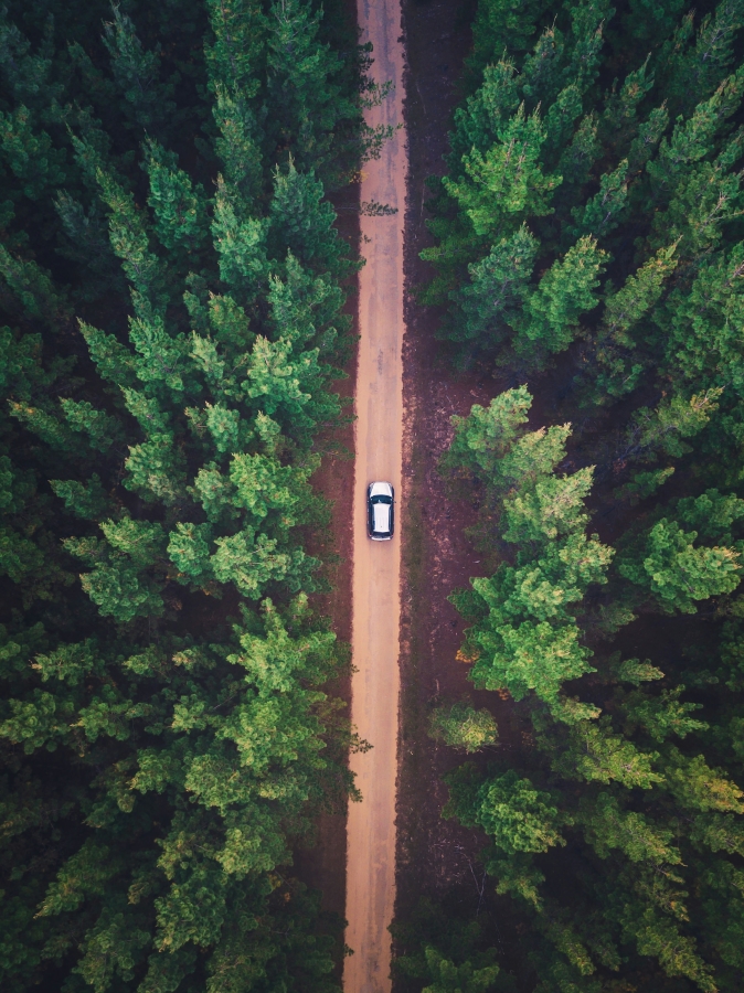 Nauka angielskiego w samochodzie na długie trasy: Auto jedzie drogą przez las.