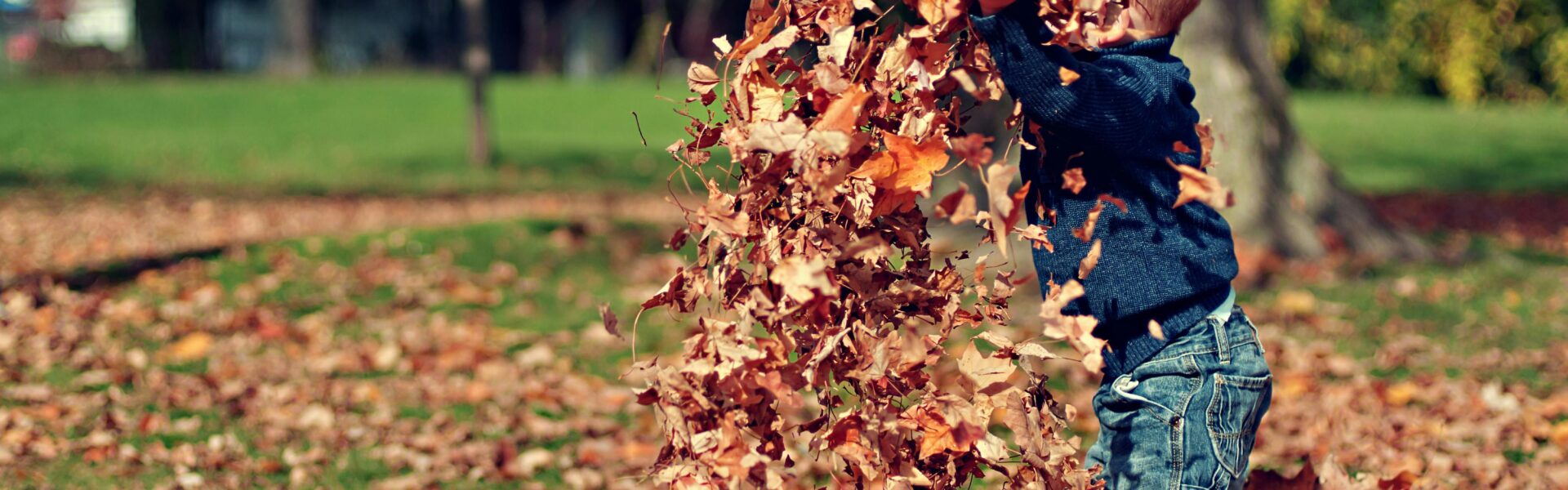 Pory roku poi po angielsku, słówka związane z pogodą