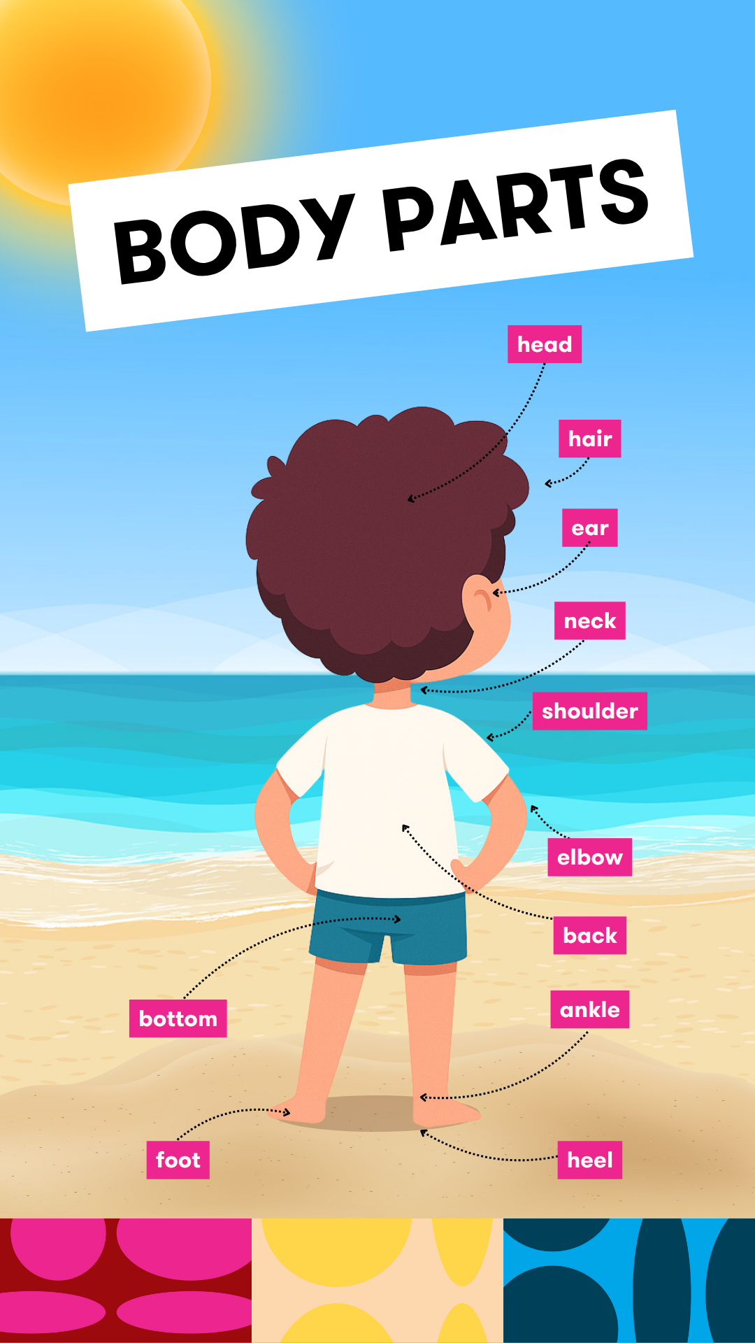 czesci ciala body parts po angielsku