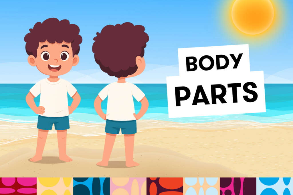 części ciała po angielsku body parts