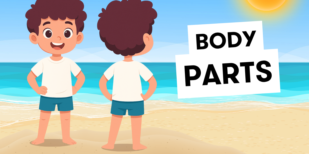 części ciała po angielsku body parts