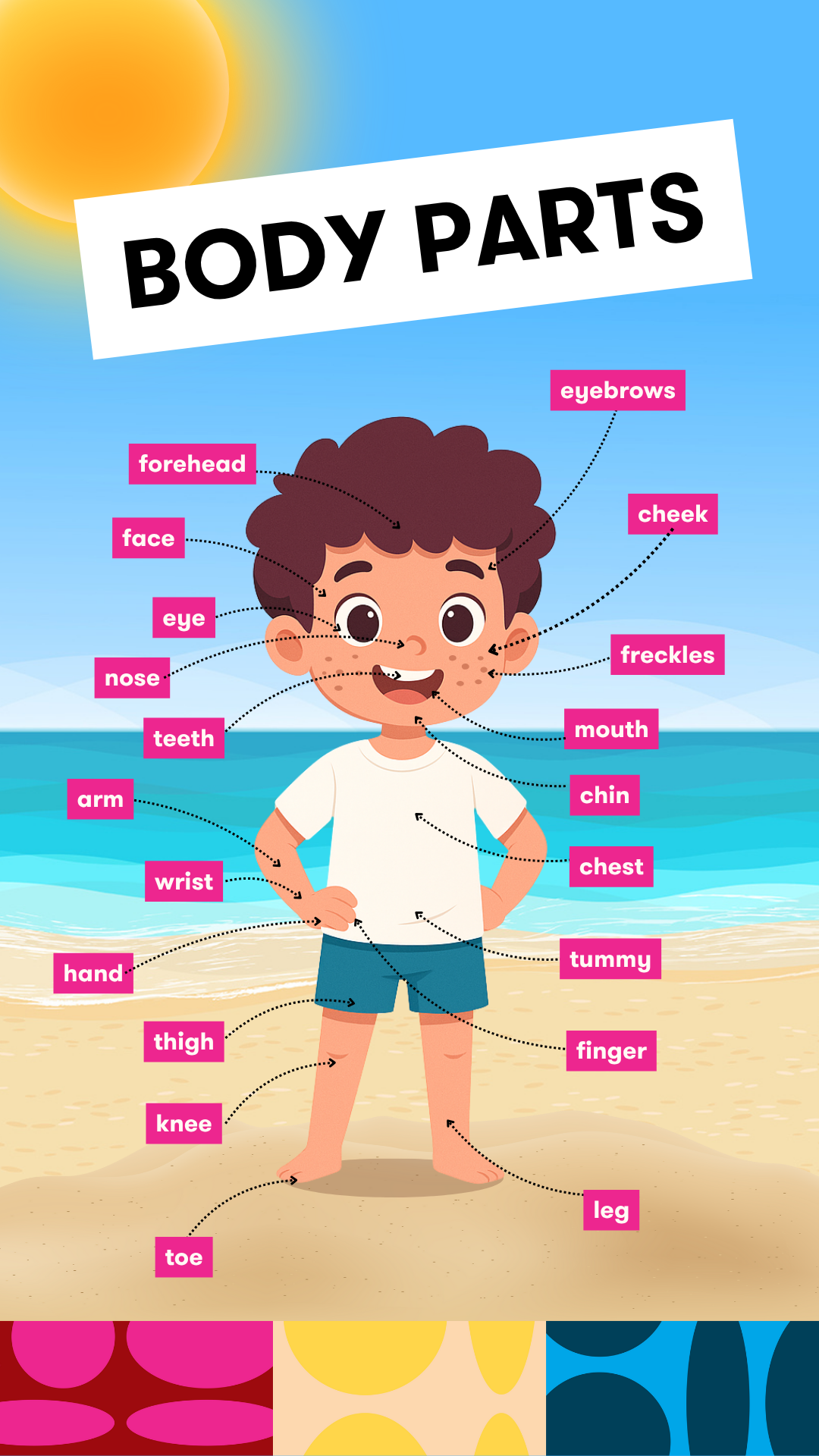 czesci ciala po angielsku body parts