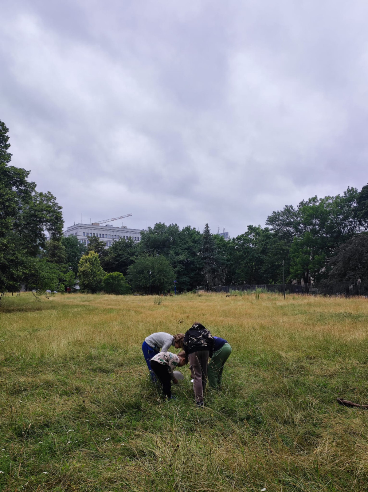 WhatsApp Image 2025-07-11 at 14.25.54.jpeg