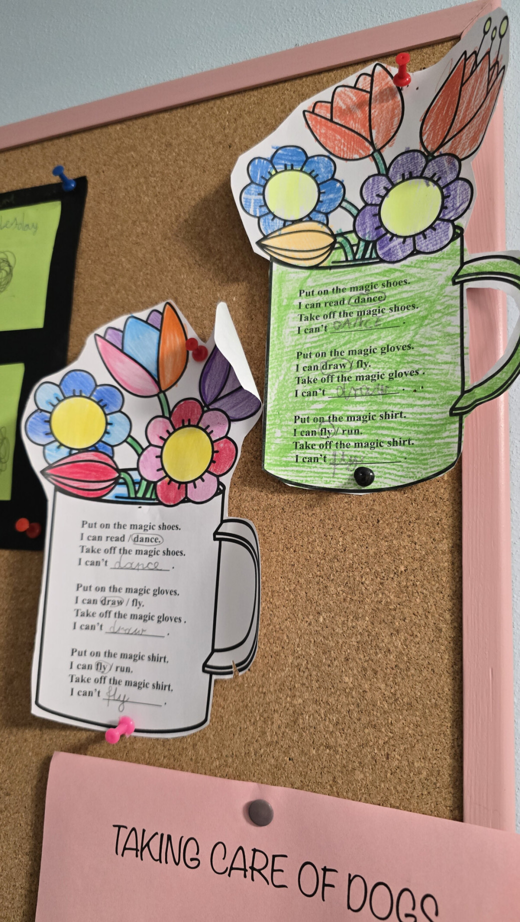 20250305_150629 (1).jpg