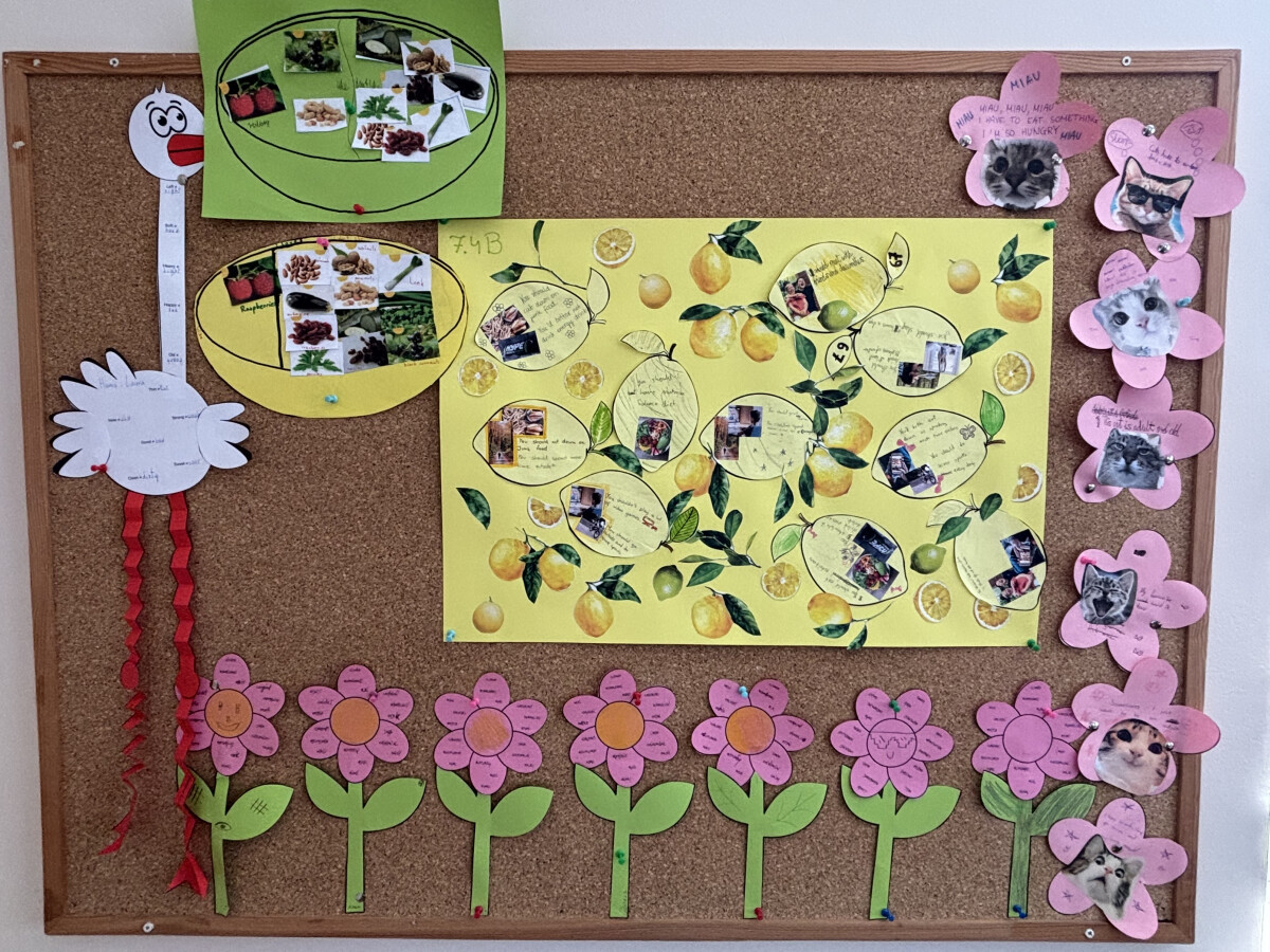 image3 (8).jpeg