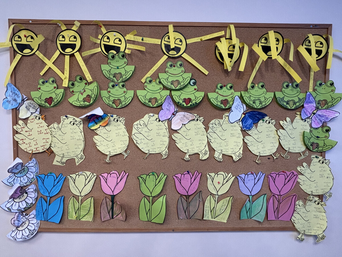 image2 (11).jpeg