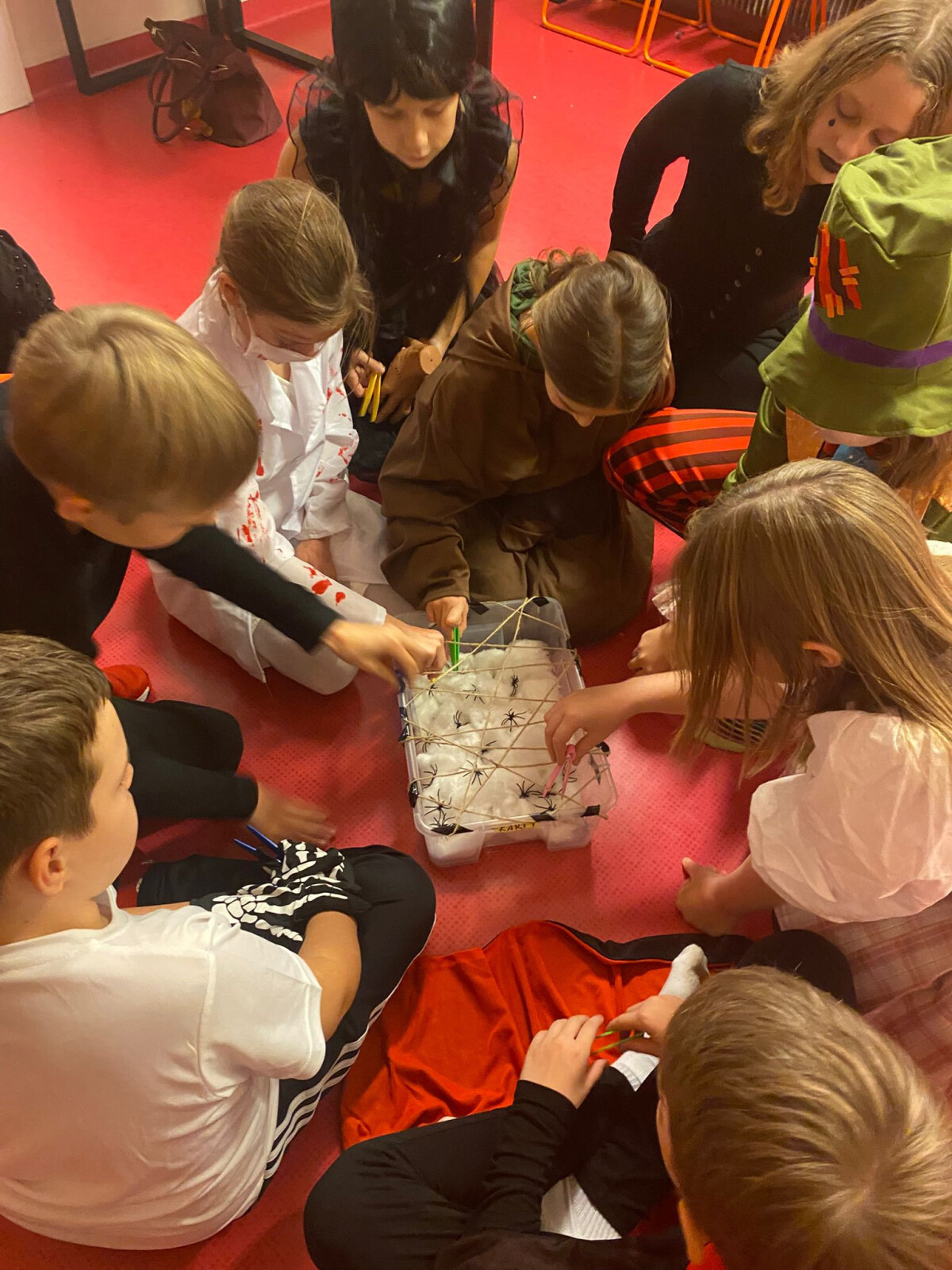 WhatsApp Image 2025-10-27 at 11.25.16 (1).jpeg