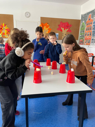 WhatsApp Image 2026-01-12 at 15.32.10.jpeg