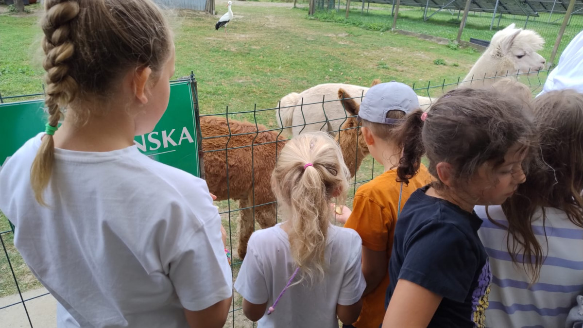 WhatsApp Image 2025-08-25 at 13.03.07.jpeg