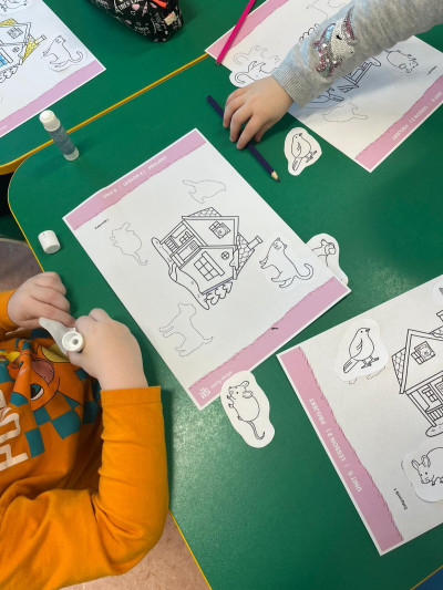 WhatsApp Image 2026-02-04 at 16.11.59 (1).jpeg