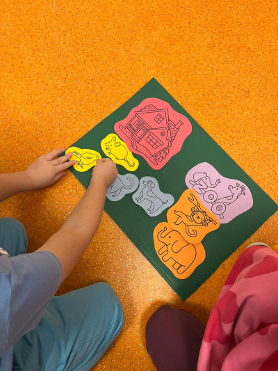 WhatsApp Image 2026-02-04 at 16.11.59.jpeg