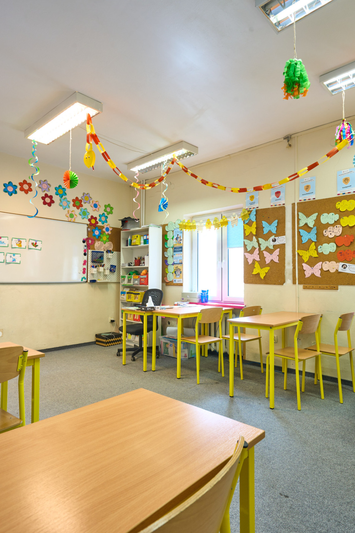 DW - sala nr 5_DSC08832.jpg